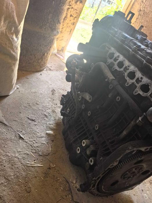 Матор дайво тоска