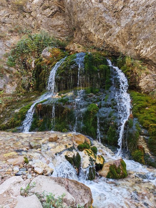 Экскурсии Ташкент,Самарканд.горы, гид в горы. Микроавтобус, электрокар