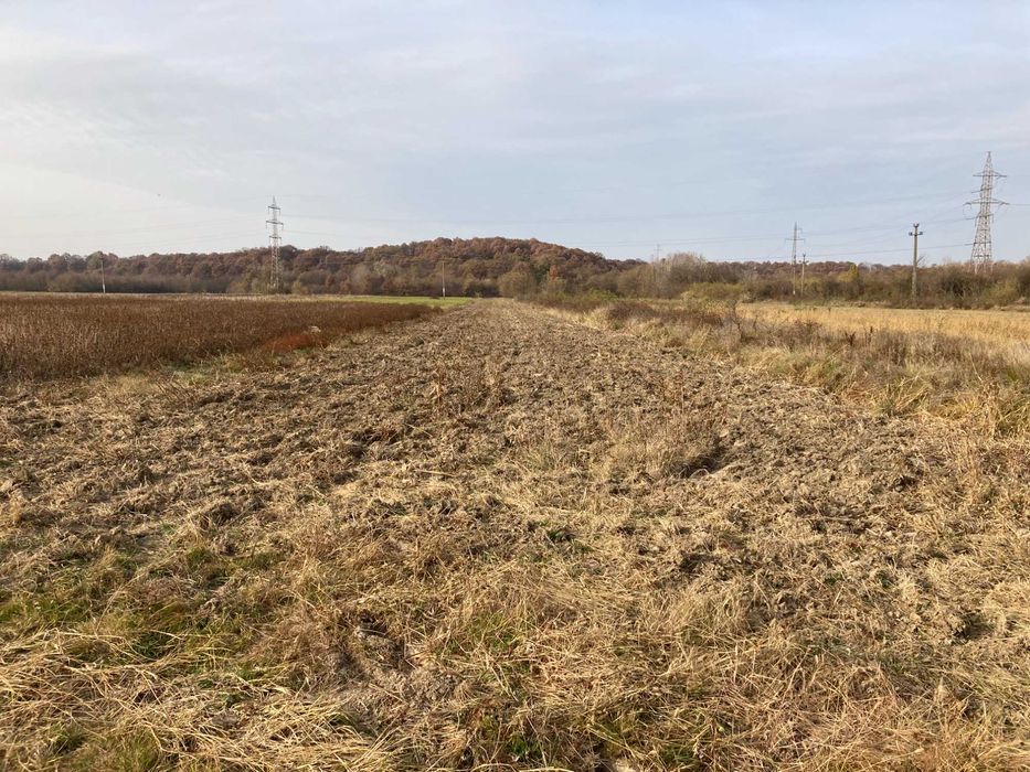 Teren Telesti, Costesti, Jud Arges, intravilan