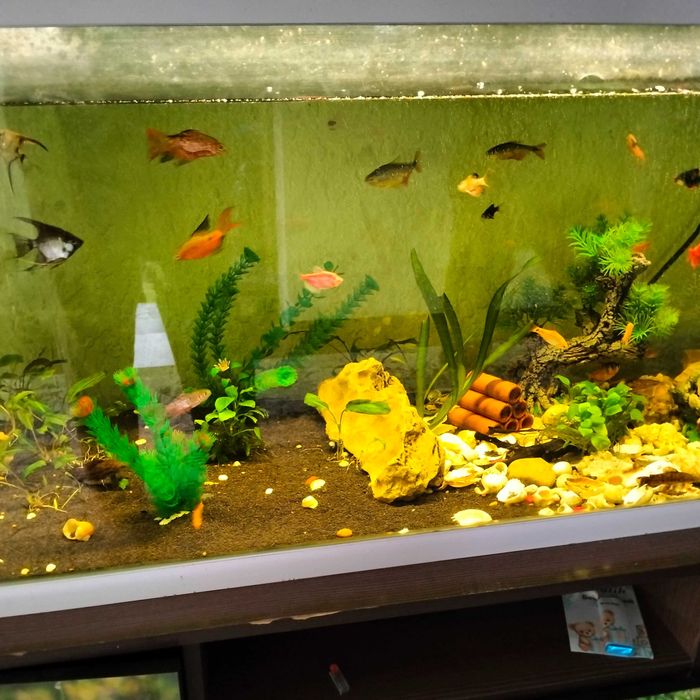 Продается красивый аквариум