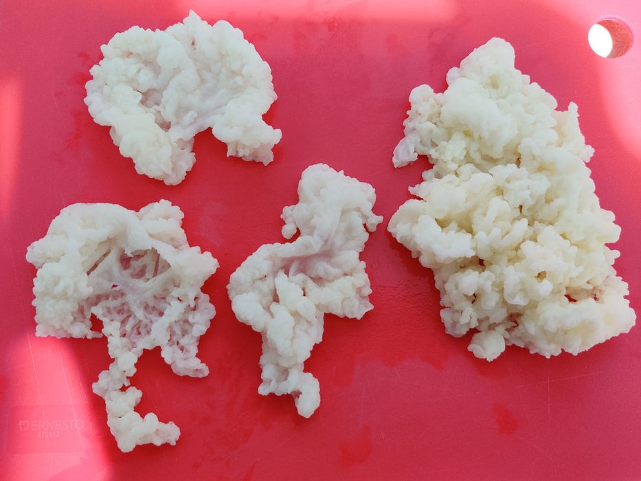 Kefir NATURAL 100%, acasă la tine, (Chefir de lapte din Caucaz)