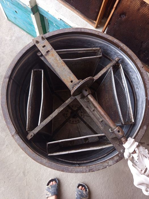 Asal ari oilasi telachkasi kamplekt