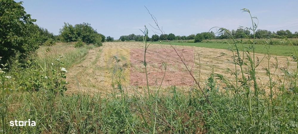 Săbăreni, teren intravilan 665 mp, aproape de DJ 602