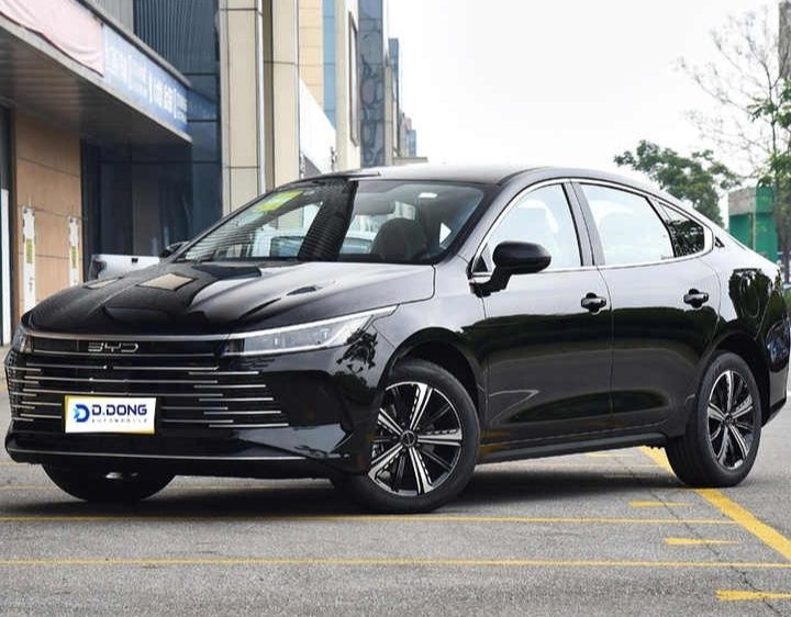 Новый BYD Chazor Champion 1-позиция