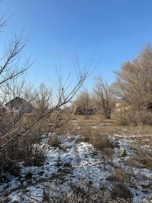 СРОЧНО! 8.25 соток в Шелеке ИЖС