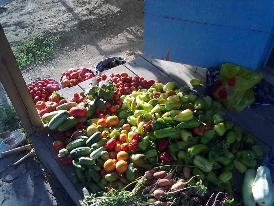 Продам дачный участок.