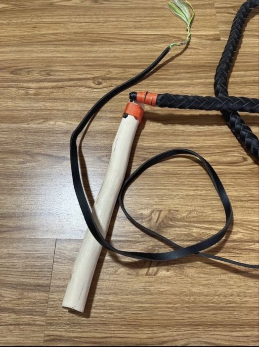 Bici traditional ,harapnic