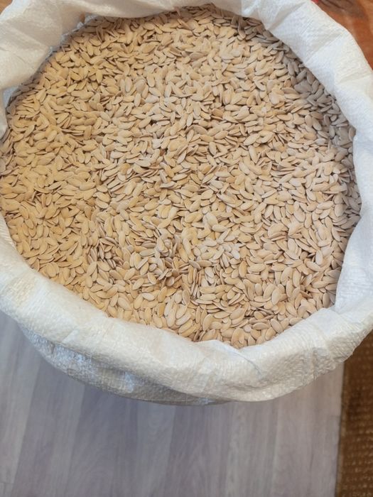 Семена дыни Бакинка высшего сорта