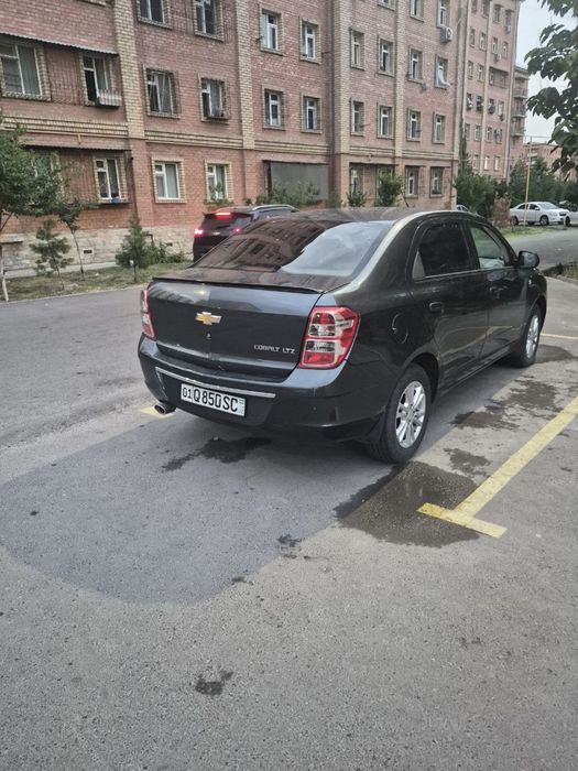 Cobalt Kobat 2021 4 pozitsiya