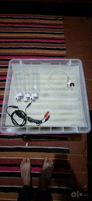 Inkubator 288 talik