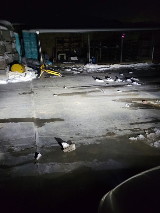 Лед крушки H7/H1/H4/H8/H9/H11/H15/D1S/D2S/D3S с канбус