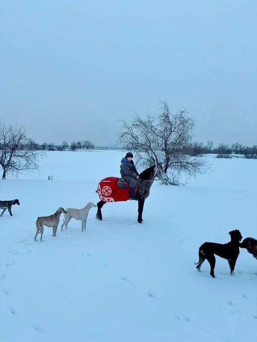 Коныр каншык сатылады