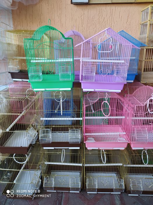 Большой выбор клеток