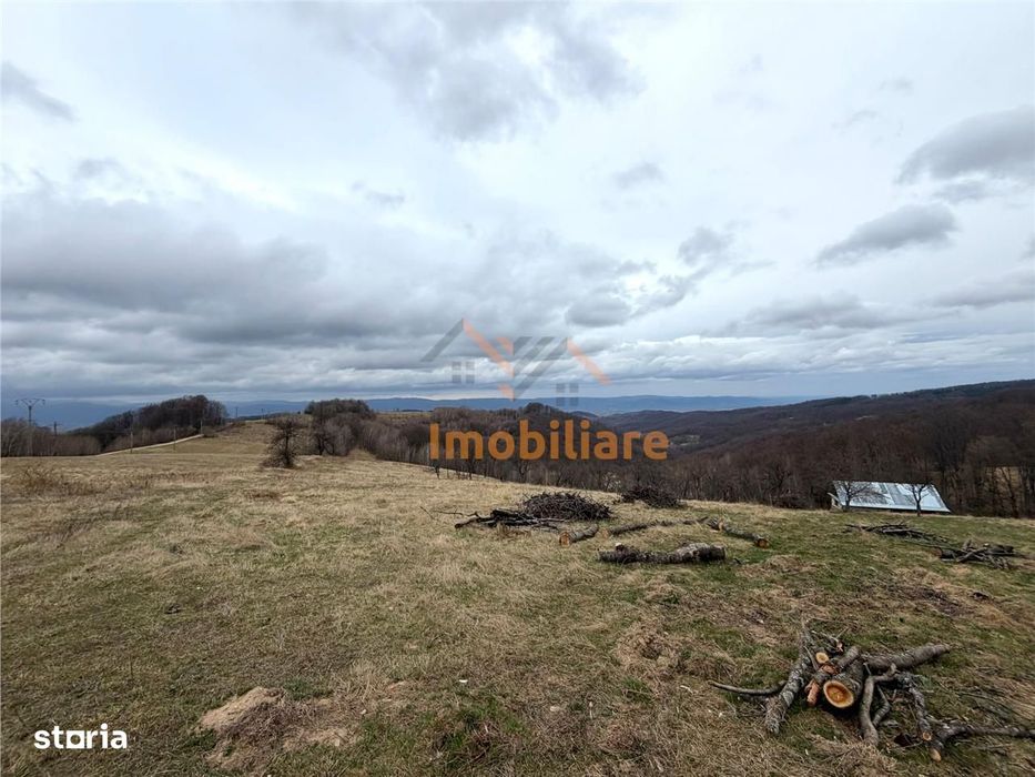 Teren 34.000 Mp | Serani Bihor