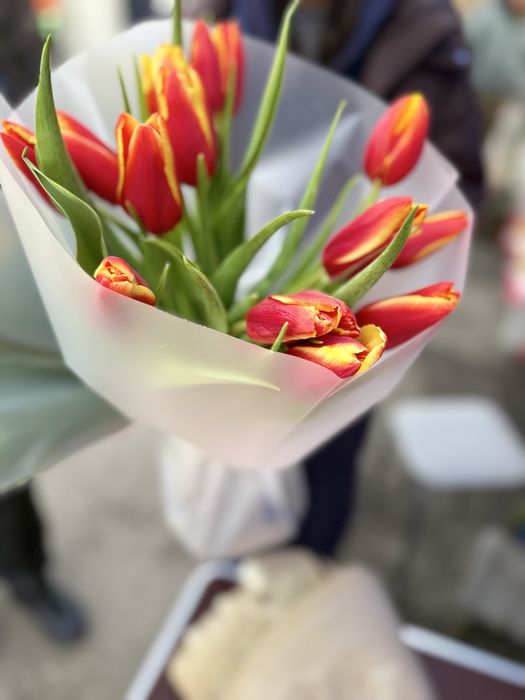 Цветы!! Тюльпаны