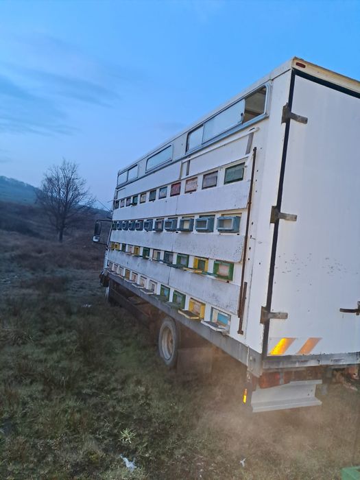 Vand camion apicol