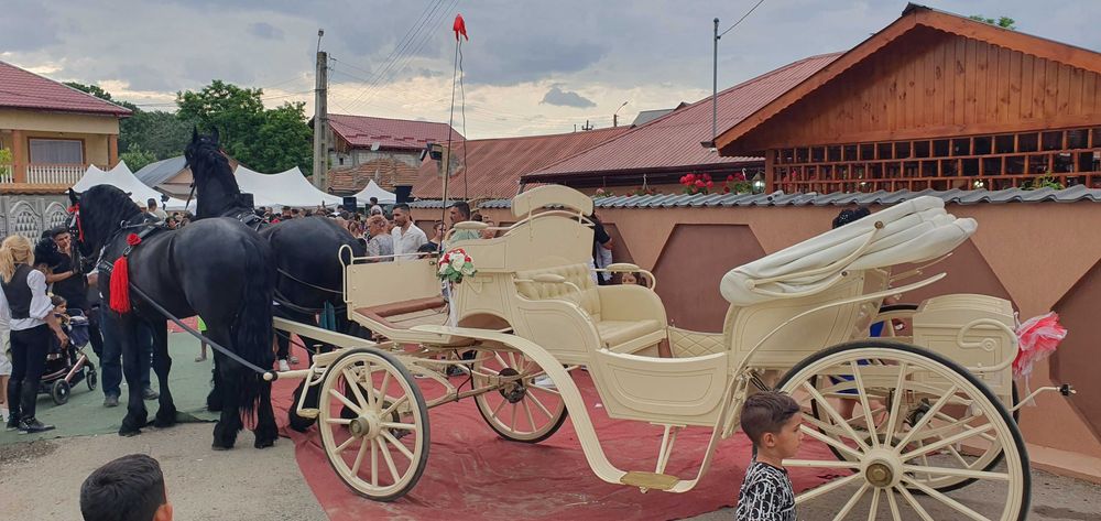 Plimbari cu trasuri si cai