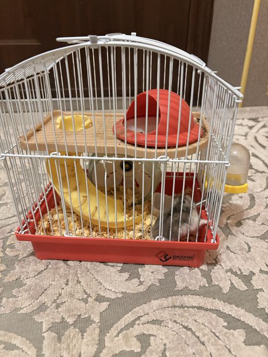 Хомяк джунгарский с клеткой