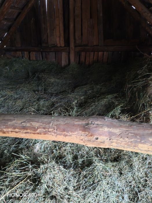 Vând lucernă 2 tone