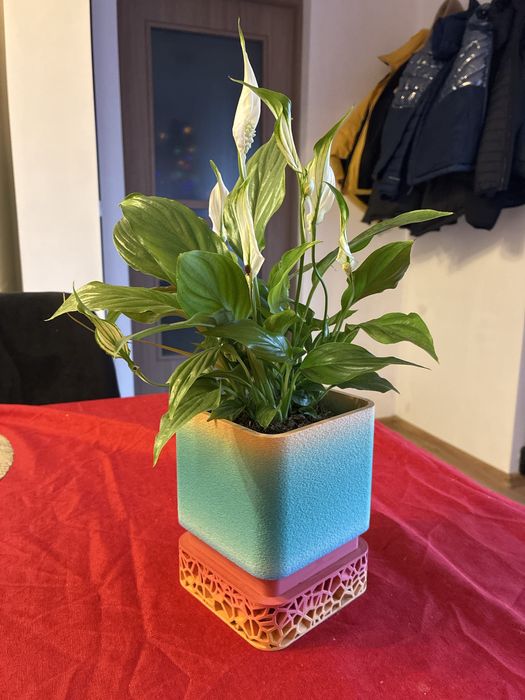 Servicii de printare 3D, Design CAD, Scanare si proiectare