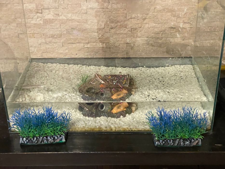 Аквариум 60 л,аквариум 5 л,филтър украса