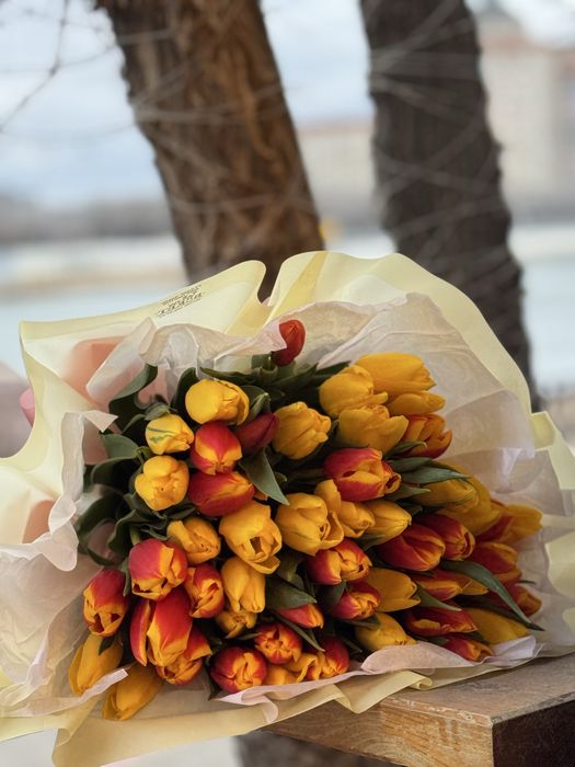 Тюльпан крупный местный