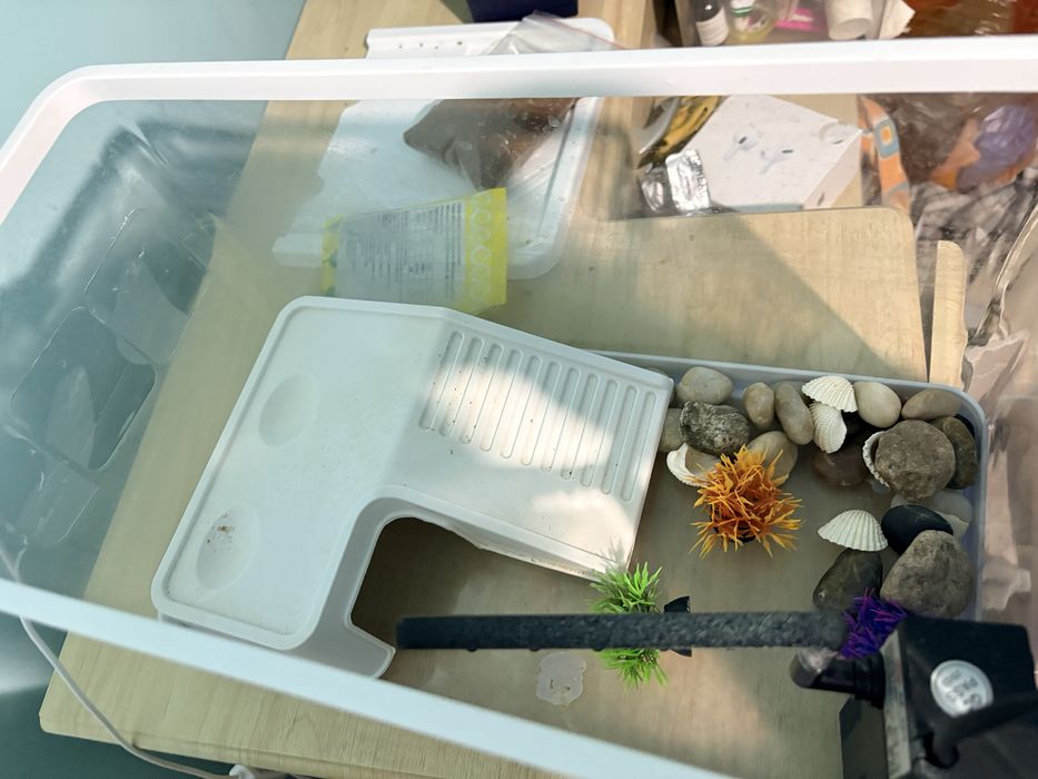 Аквариум для черепах рыб