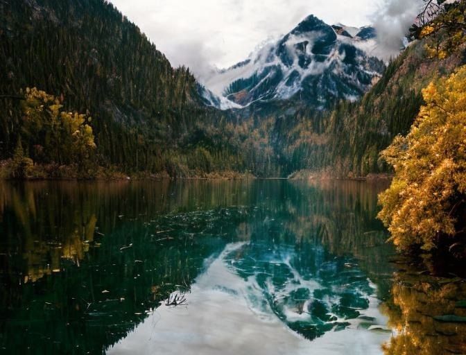 Картины с необычным сюжетом