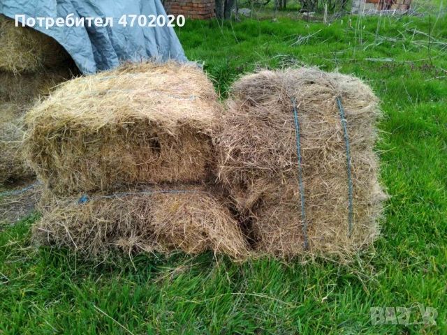 Бали от сено 0898534675