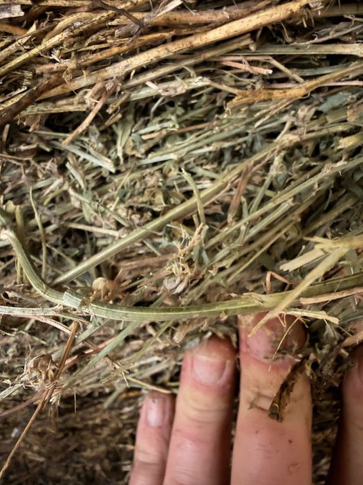 Vand baloti de lucerna