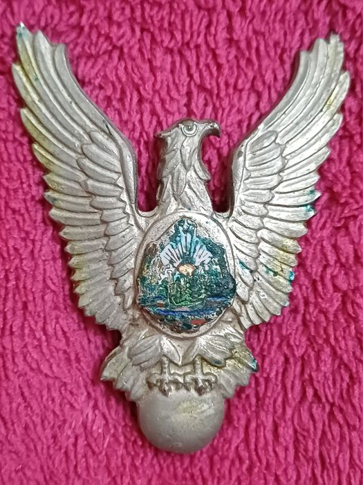 Insigna pilot Romania