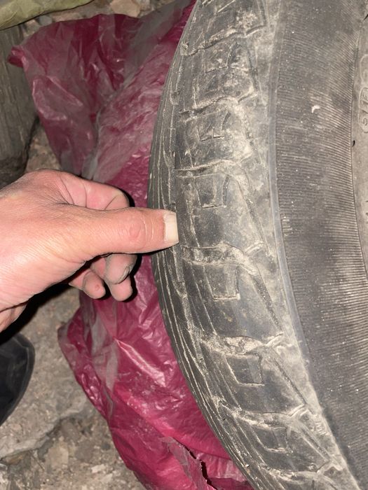 Продам летнтю резину Tunga 185/65 R15