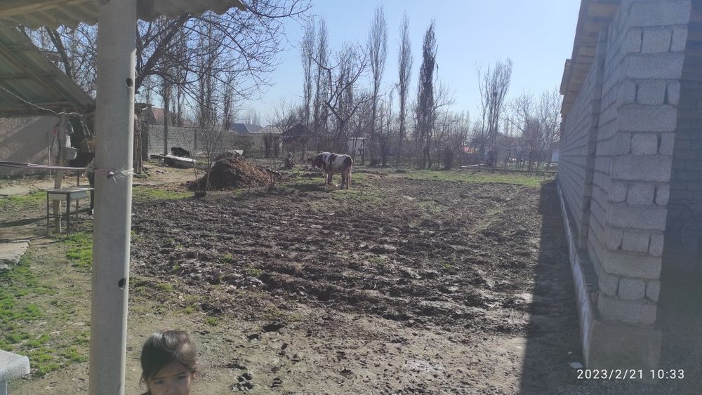 Продаётся дом с участком 12 соток