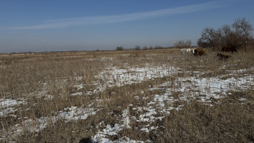 3 гектар жер сатылады