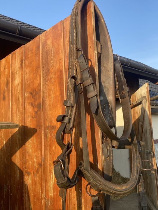 Faiton și ham de piele