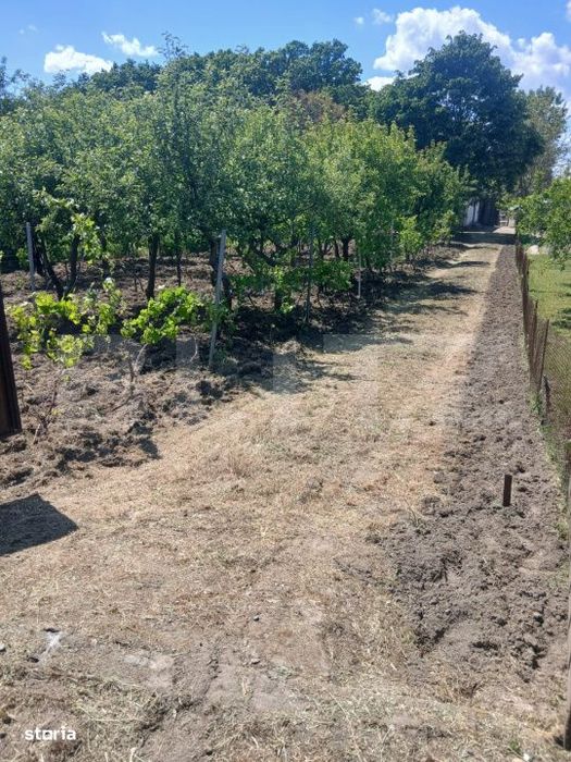 Casa de vanzare 800 mp curte, 32 mp utili, Bratovoesti