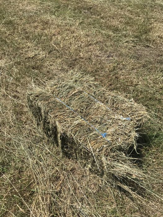 Vând Baloti de fan .