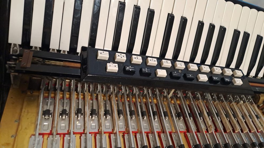 Vand acordeon hohner