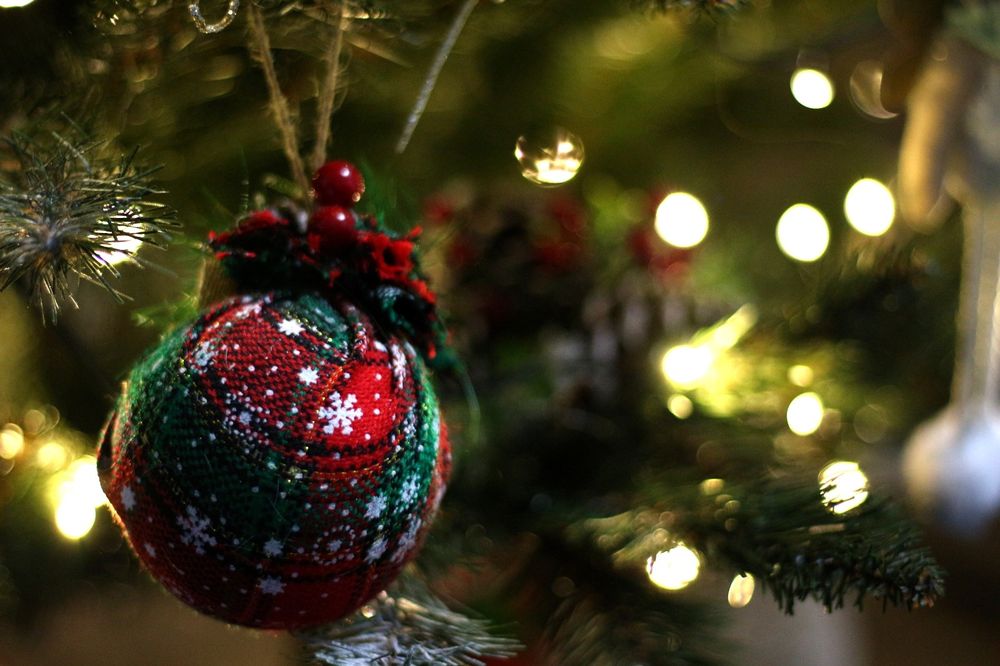 Canon eos 100D / obiectiv 50 mm f1.8/ impecabil