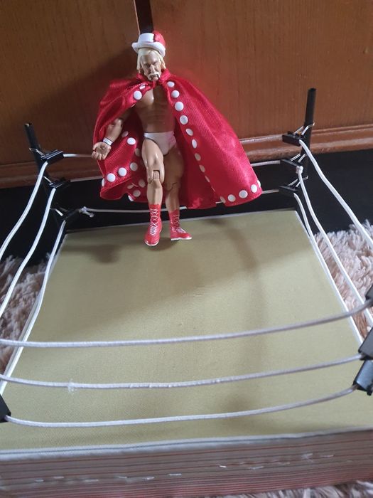 Герои  Хък Холган,карибски пирати,жената котка и  други