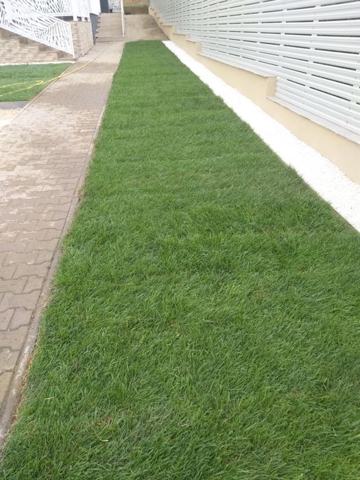 Gazon rulou și sistem de irigatii