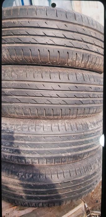 Летняя резина Nexen