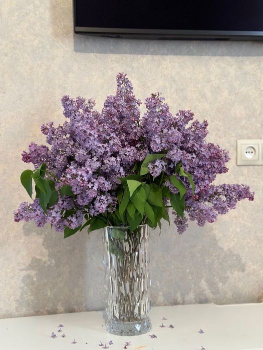 Сирень букеты делаю