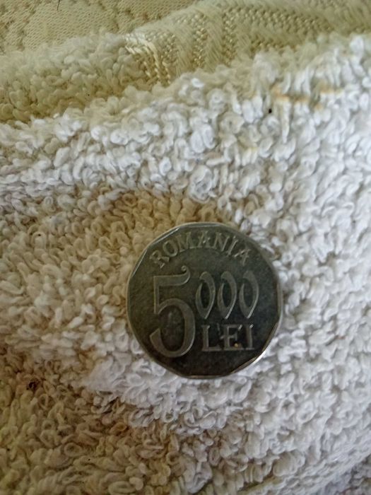 Moneda 5000 lei an 2002
