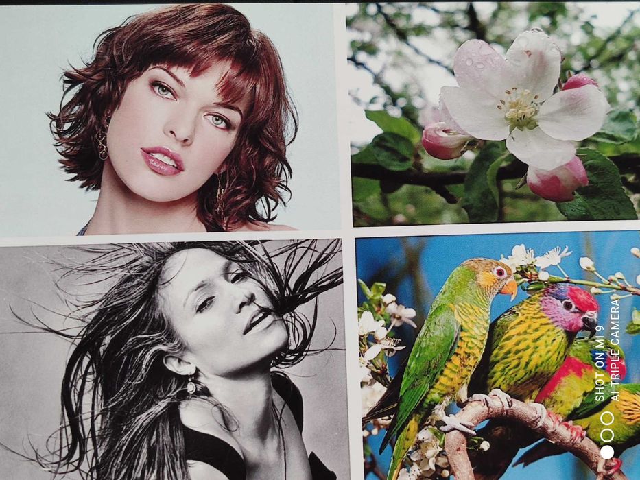 Фото МФУ  Epson L8180  формат А3+