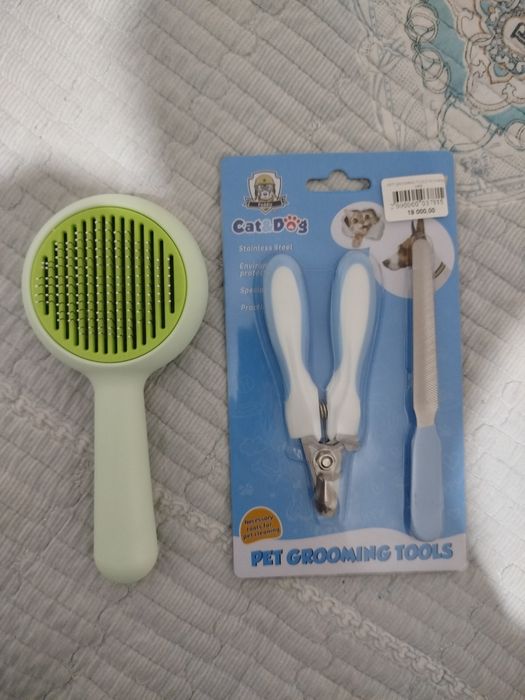 Продаётся вислоухий котёнок!