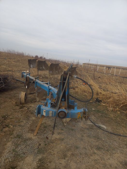 Limkent puluk sotiladi