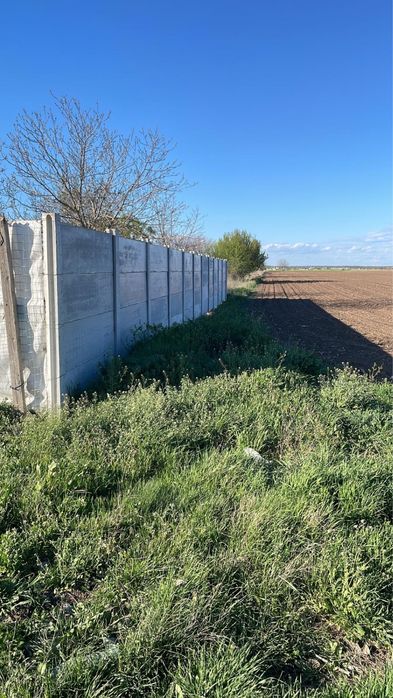 Teren intravilan Dascalu 18000  m2 #direct proprietar