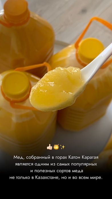 Қатон қарағай балы мед Катон Карагай