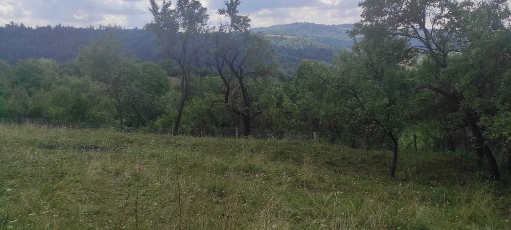 Teren Intravilan - Generos (2800 mp) - Zona superba foarte aproape de centru Campulung